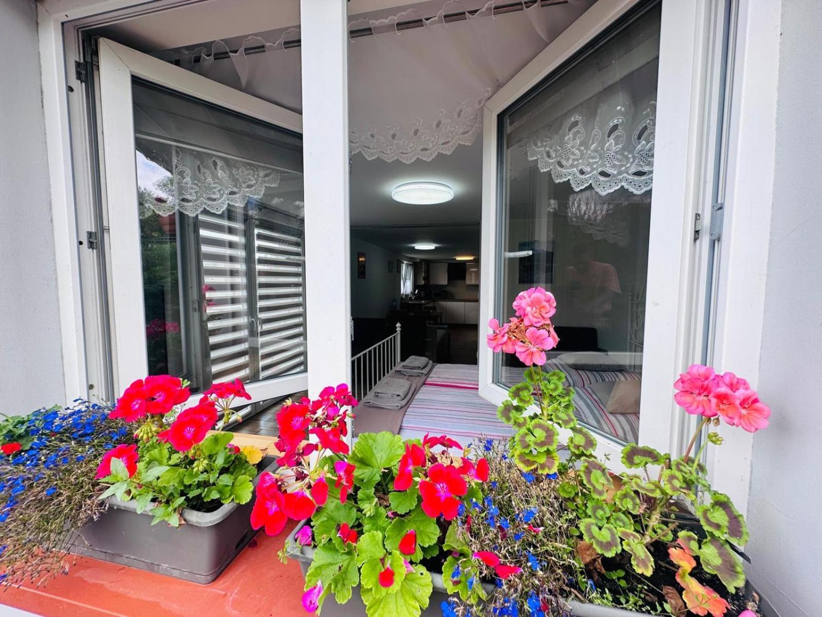 Apartment Bukowy